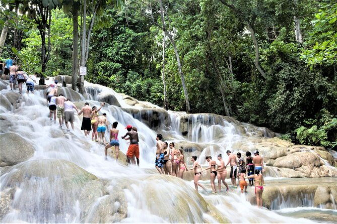 zipline-canopy-dunns-river-falls-guided-tour-with-admission-from-falmouth