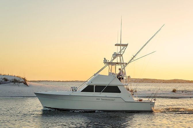 6-hour-family-fun-fishing-charter-on-a-42-sportfish-alibi