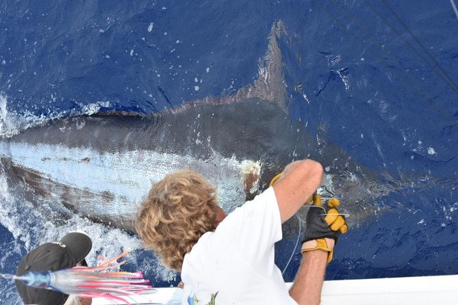 6-hour-fishing-charter