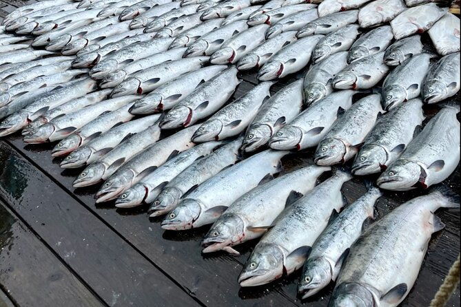 6-hour-salmon-trip