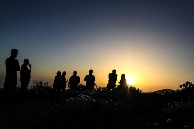 6-hour-tour-with-observation-of-the-stars-1242-with-lunch