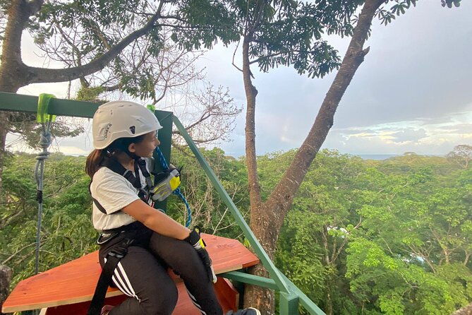 60m-tree-climbing-experience-with-descent-in-tarzan-or-rapel
