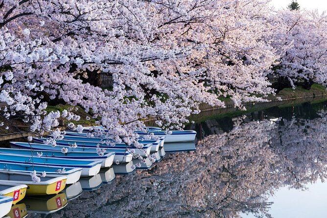 1-hour-private-photoshoot-in-aomori