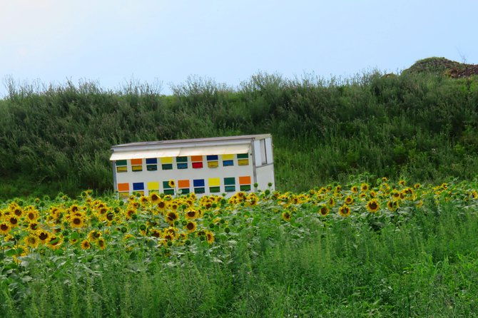 100-km-by-bike-near-bucharest