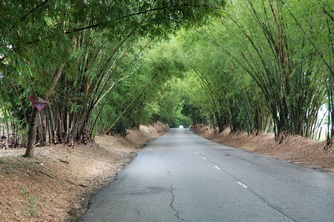 13-appleton-rum-estate-black-river-safari-private-guided-combo-all-day-tour