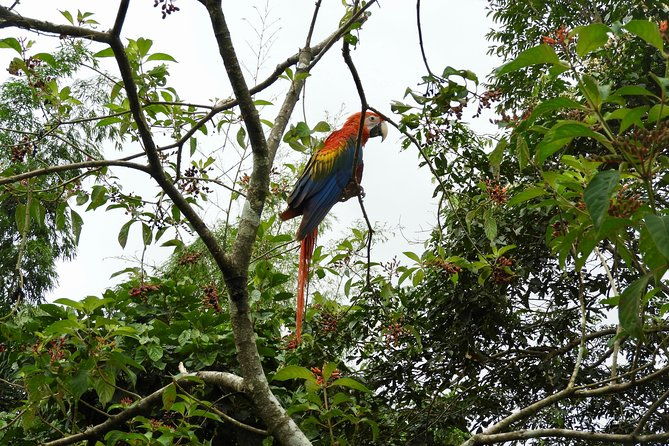 16-day-ecuador-adventure-andes-amazon-galapagos