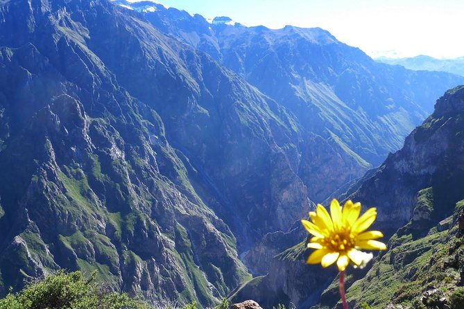 2-day-1-night-trek-colca-canyon