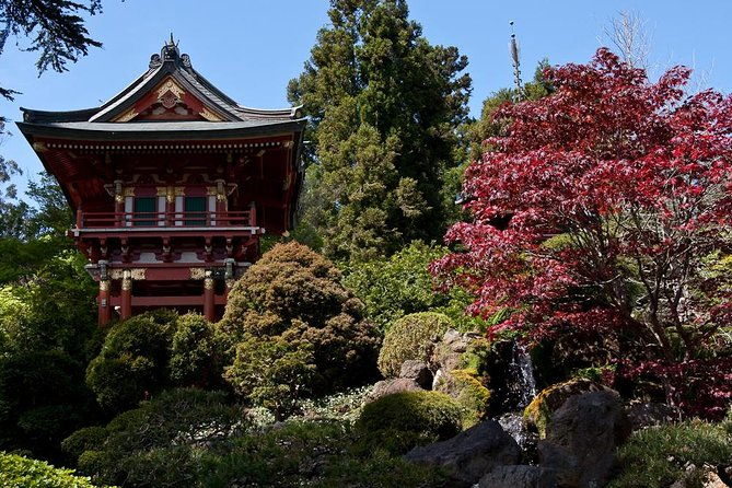 2-day-hop-on-hop-off-tour-plus-night-tour