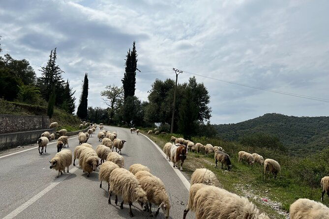 2-day-tour-of-the-riviera-gjirokastra-unesco-city-and-blue-eye-2