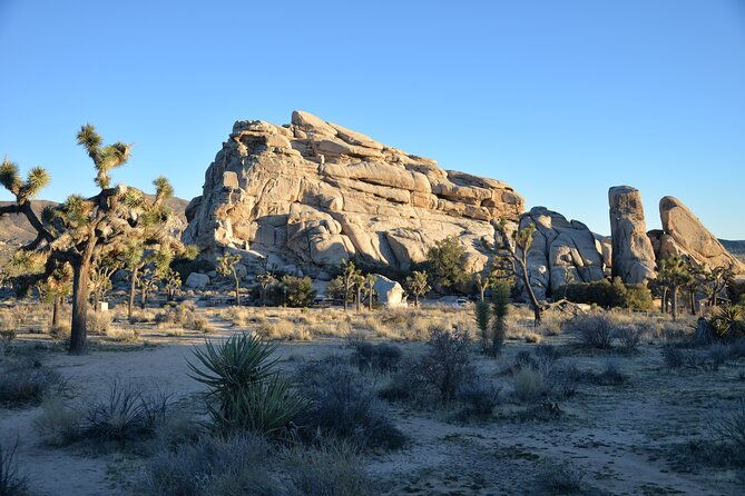 2-days-private-tour-to-joshua-tree-national-park-from-los-angeles