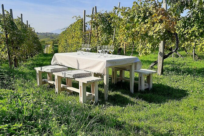 2-guests-private-prosecco-road-tour-all-inclusive-from-conegliano