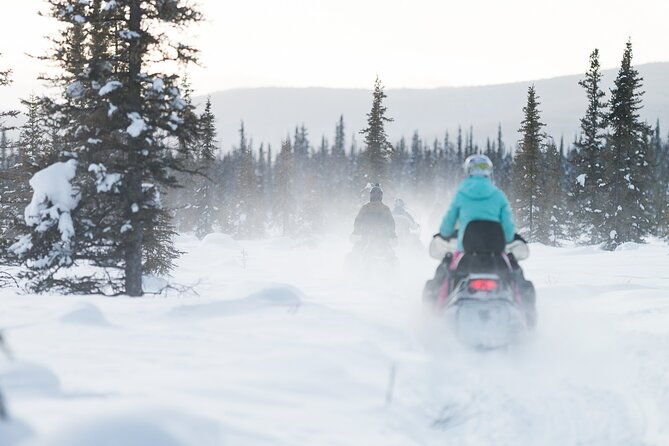 2-hour-guided-snowmobile-tour-in-fairbanks