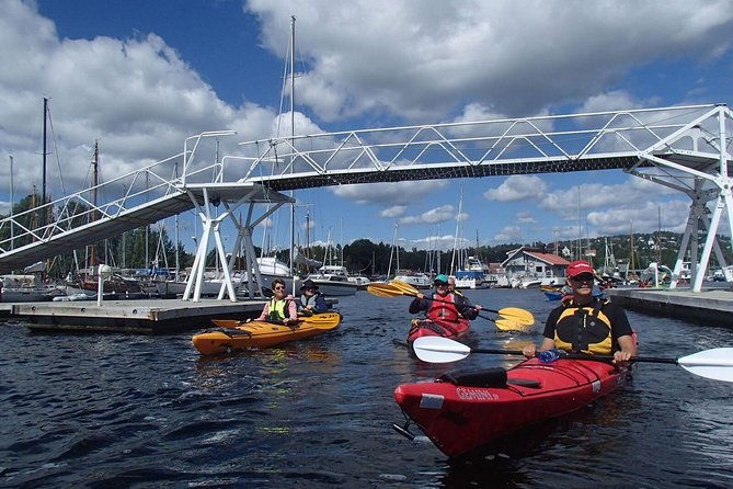 2-hour-kayak-trip-on-the-oslo-fjord-3