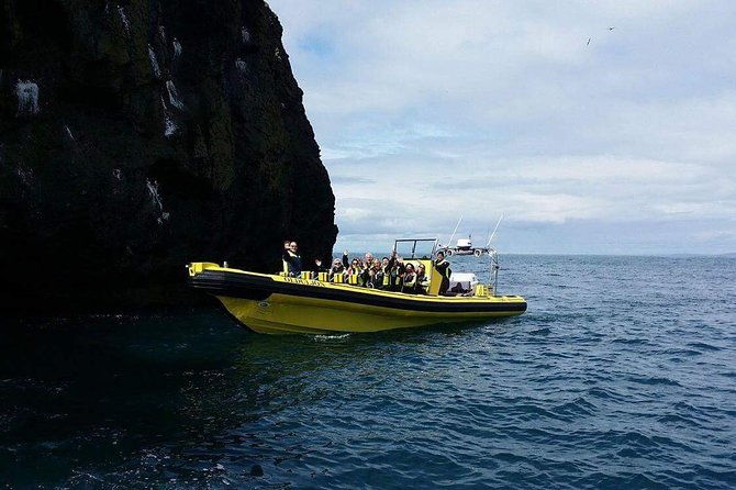 2-hour-round-trip-in-vestmannaeyjar-on-a-rib-boat