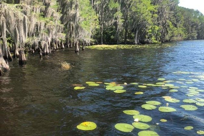 2-hour-stand-up-paddleboard-rental-from-lake-buena-vista-area
