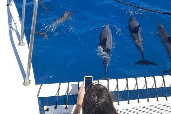 2-hour-waikiki-whale-watching-in-honolulu