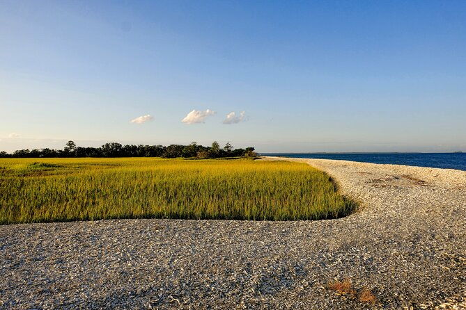 2-hours-dolphin-eco-tour