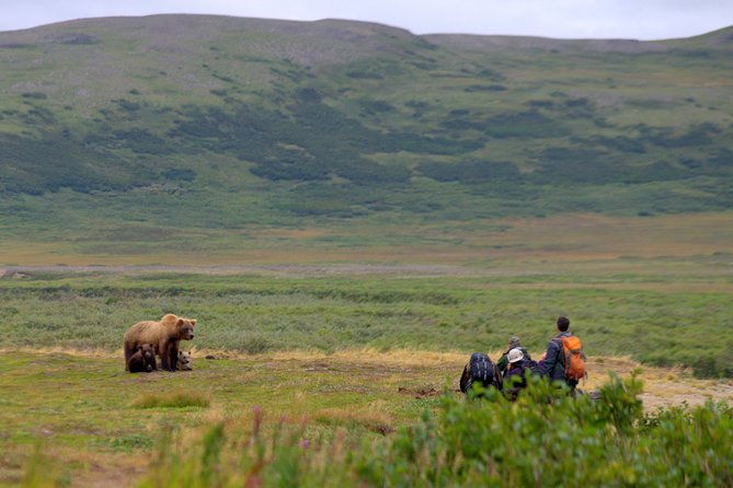 2-park-bear-viewing-adventure-to-katmai-and-lake-clark-np