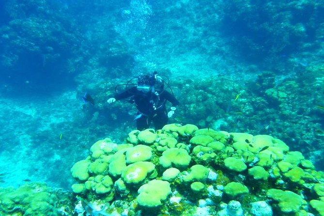 2-tank-roatan-fun-dive-boat-sightseeing-tour-including-ground-transportation