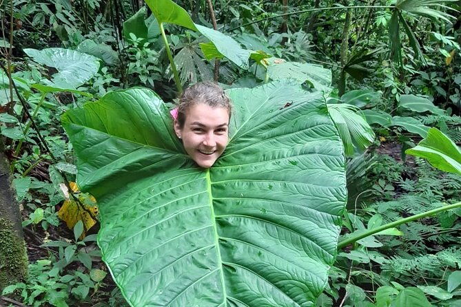 3-day-eco-sustainable-private-tour-manu-national-park