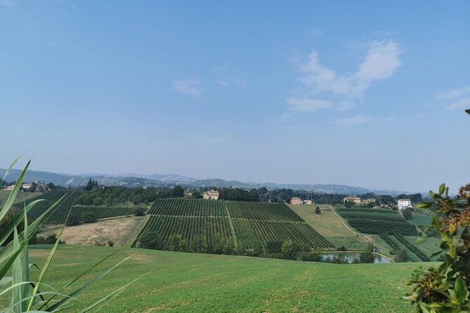 3-hour-e-bike-tour-with-parmesan-and-balsamic-vinegar