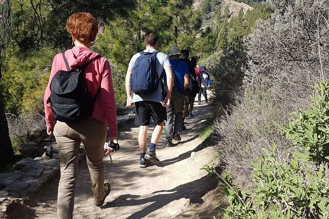 3-hour-hiking-experience-in-roque-nublo-2