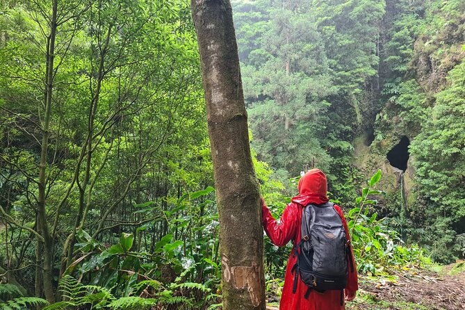 3-hours-guided-forest-bathing-hike-in-portugal