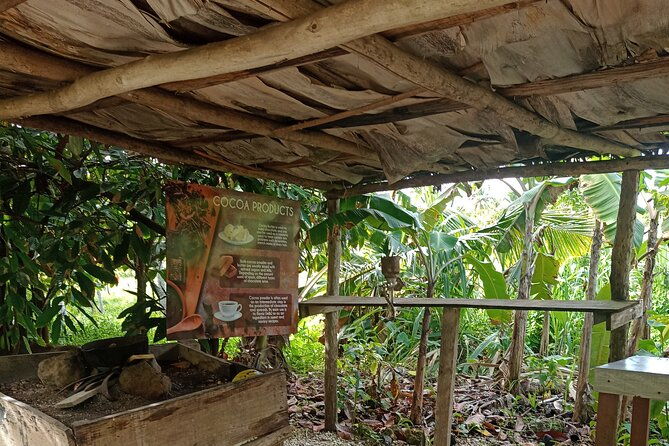 3-hours-panoramic-tour-in-punta-cana-with-artisan-market