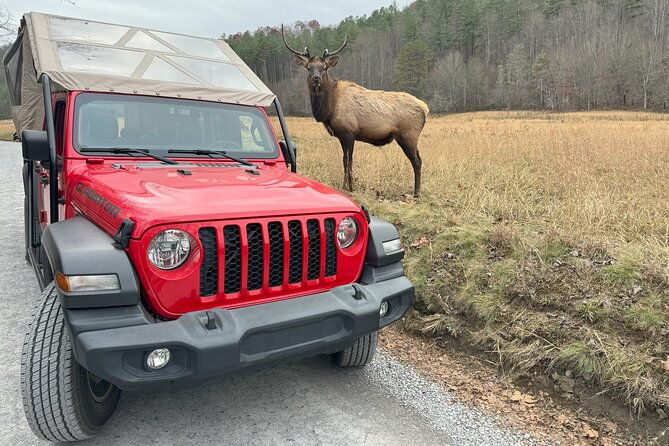 3-hr-smoky-mountain-cherokee-blue-ridge-parkway-jeep-adventure