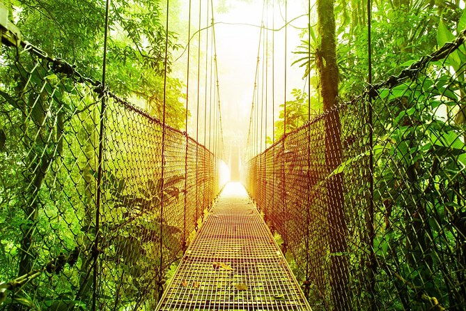 3-in-1-eco-tour-rain-forest-aerial-tram-river-cruise-nature-walk-private-tour