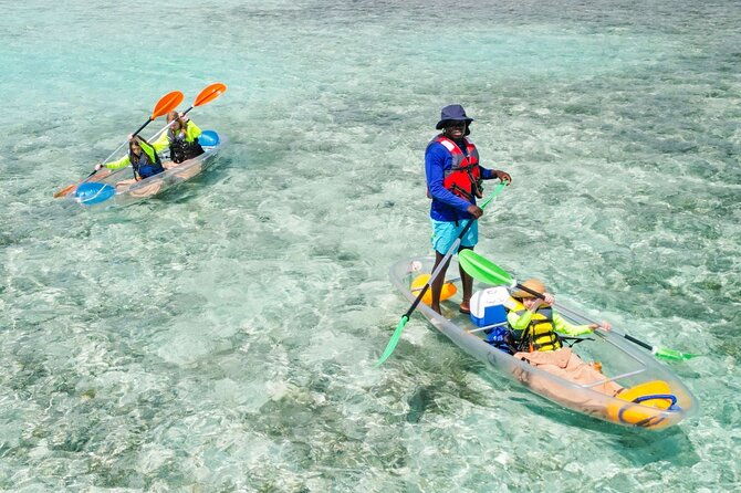 3hr-clear-kayak-mangrove-and-iguana-island-tour-in-leeward