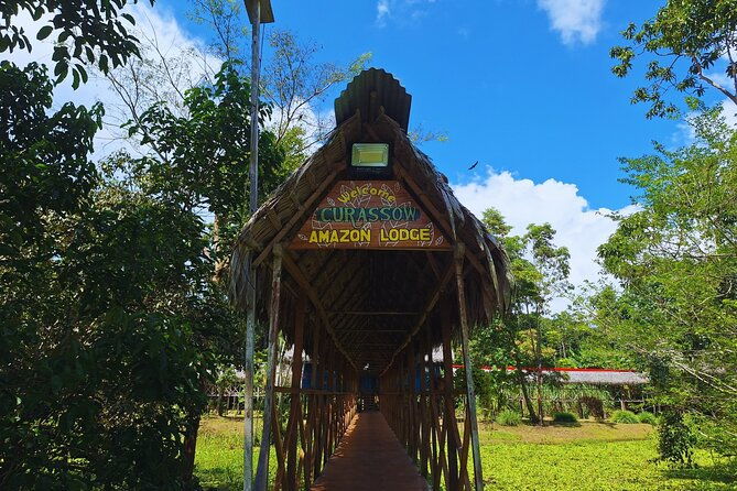 4-day-amazon-jungle-tour-in-iquitos-at-curassow-amazon-lodge