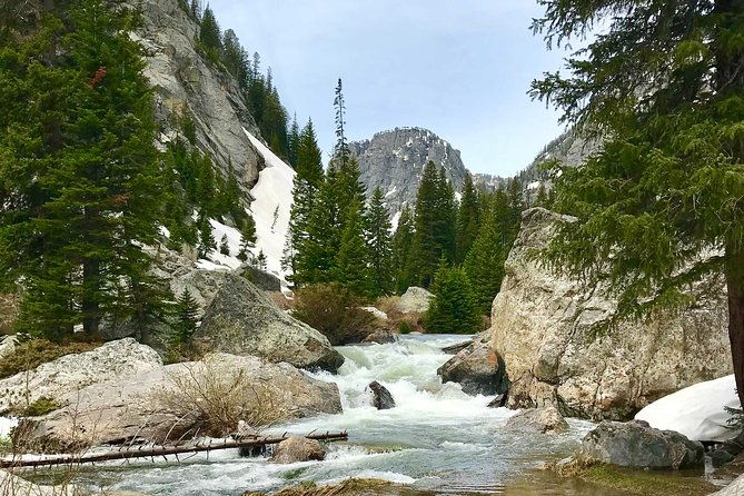 4-day-small-group-tour-yellowstone-and-tetons-camping-from-salt-lake-city-2