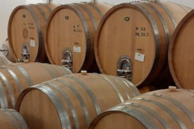 4-hour-guided-e-bike-tour-of-the-two-wineries-in-bardolino