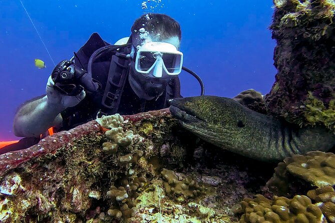 4-hour-guided-scuba-diving-adventures-in-waikiki
