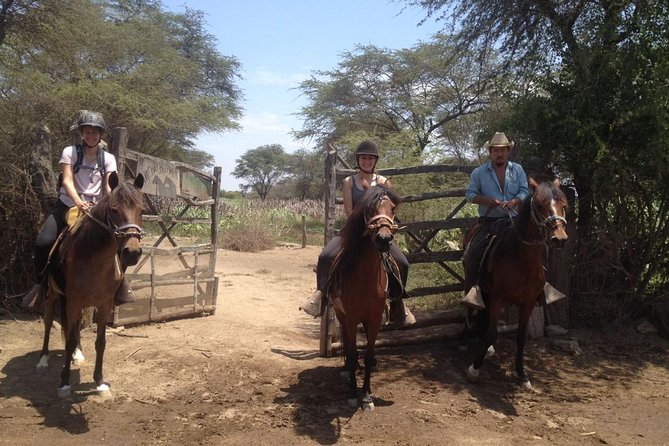 4-hours-horse-riding-inca-pyramids-in-worlds-largest-dry-forest
