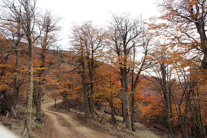 4x4-in-cerro-frias