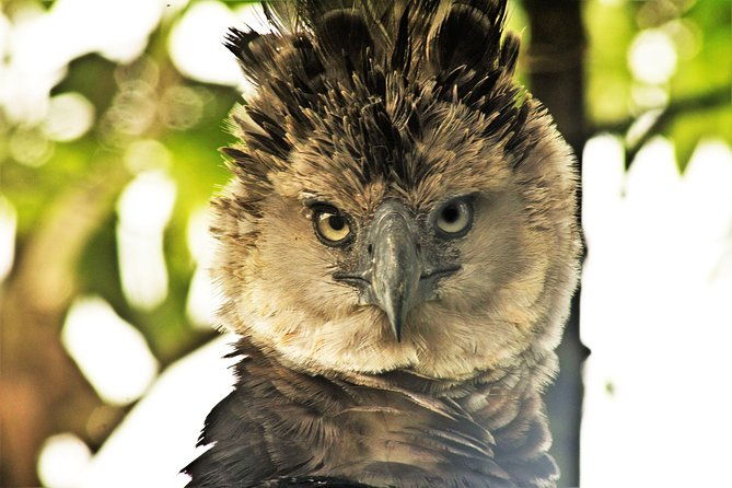 5-day-amazon-camping-and-kayaking-discover-yasuni