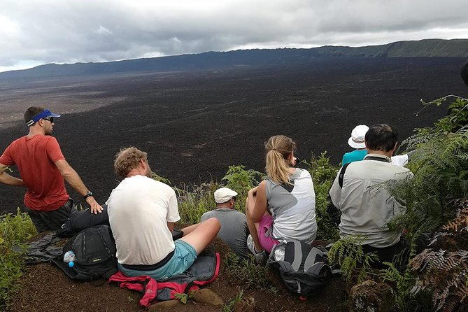 5-day-guided-galapagos-los-tuneles-tour