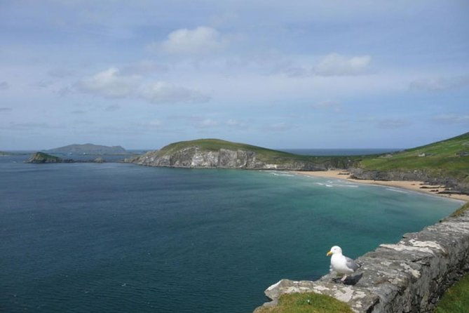 5-day-northern-ireland-and-atlantic-coast-small-group-tour-from-dublin-2