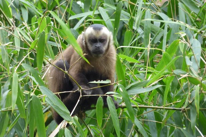 5-days-private-manu-jungle-tour-with-waterfalls-and-hot-springs