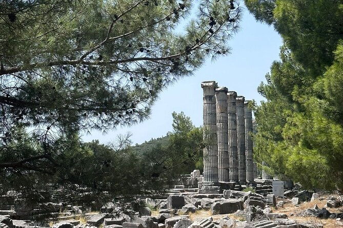 5-hours-priene-miletos-didyma-customisable-private-tour