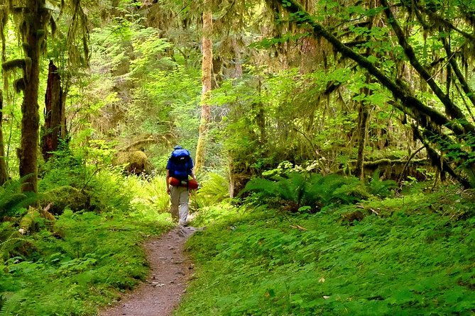 6-day-backpacking-summer-camp-adventure-in-olympic-national-park
