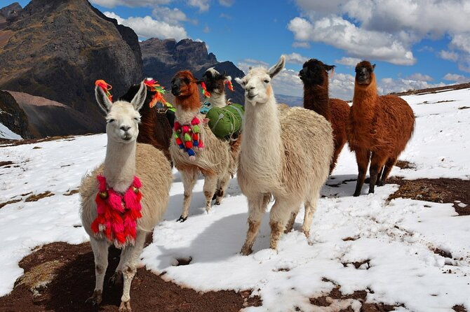 6-day-tour-of-cusco-magico-machu-picchu-rainbow-mountain