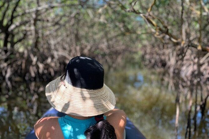 6-hr-tropical-mangroves-coastal-river-and-ocean-wildlife-watch-2