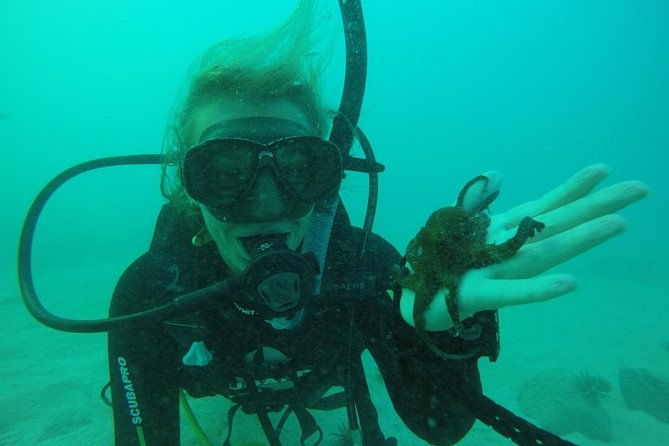 7-days-diving-and-hiking-on-the-galapagos-islands-tour