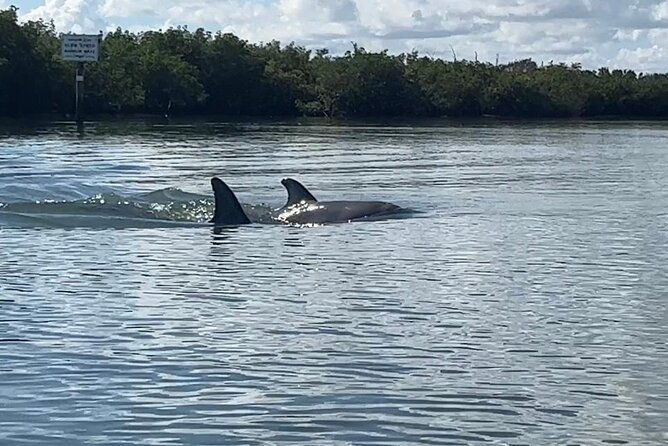 8-hour-jungle-tour-and-lagoon-passage-to-the-ocean-in-fort-pierce