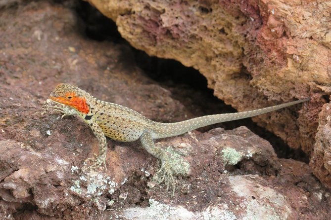 9-day-colonial-quito-galapagos-island-hopping