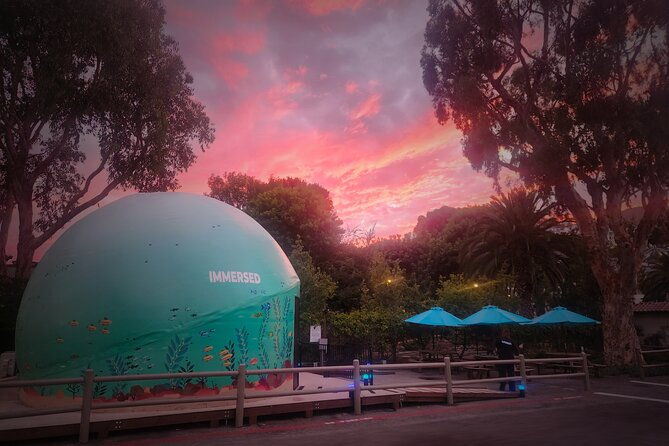 a-360-immersive-ocean-movie-experience-catalina-island-2