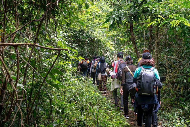 a-day-of-relaxation-in-the-jungle-and-waterfalls-of-dominica